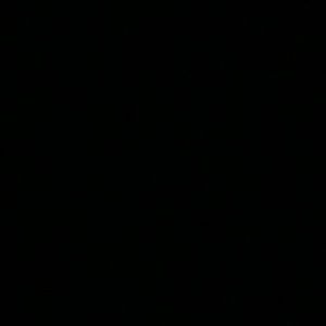 Meet your Posher, Ericka